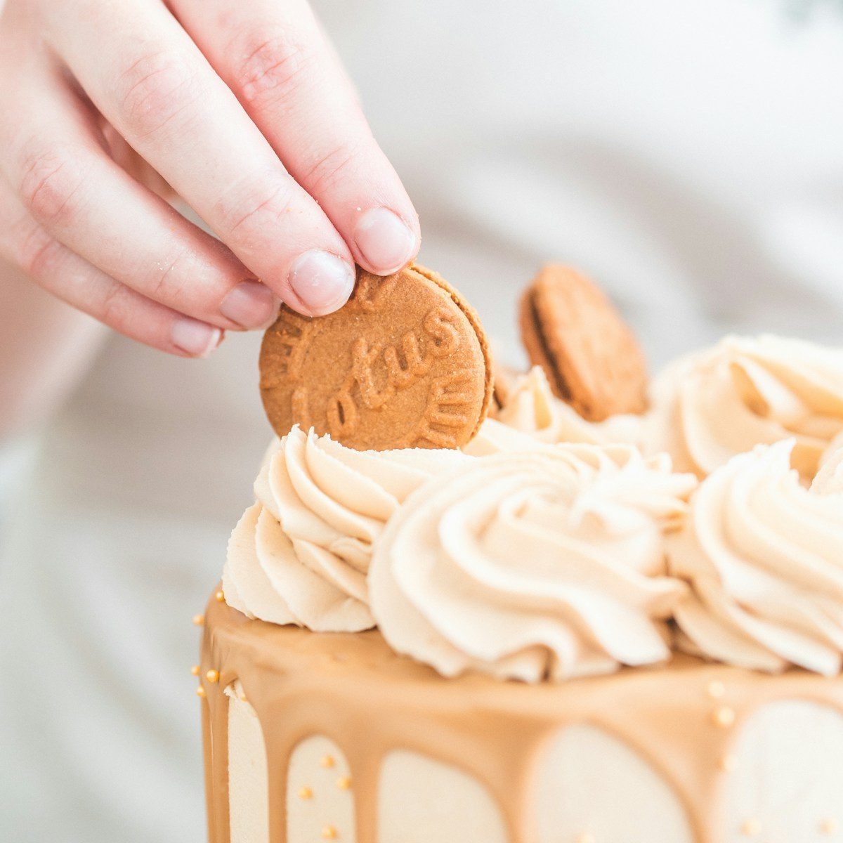 Lotus Biscoff Cake