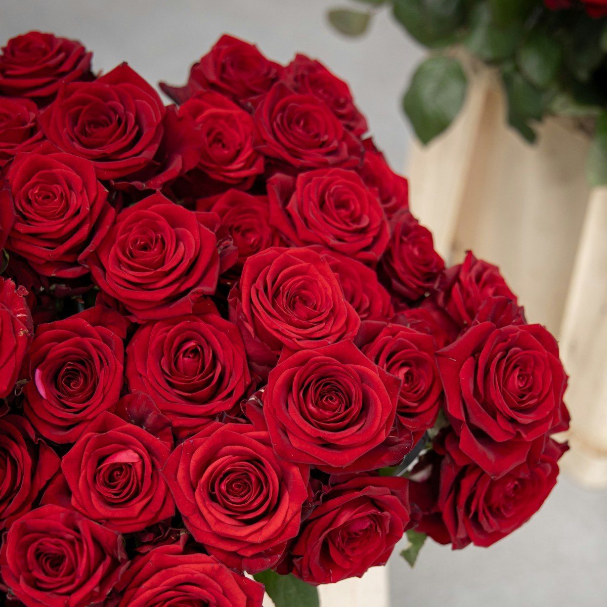Rose Box (50 Roses)