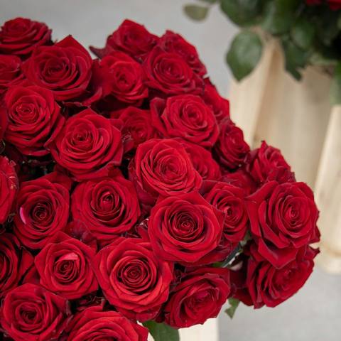 Rose Box (50 Roses)